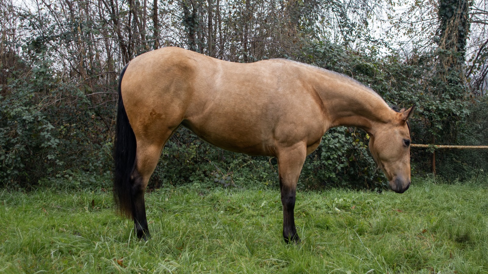 52244b1c 5a87 4270 8506 4aa653d743b9