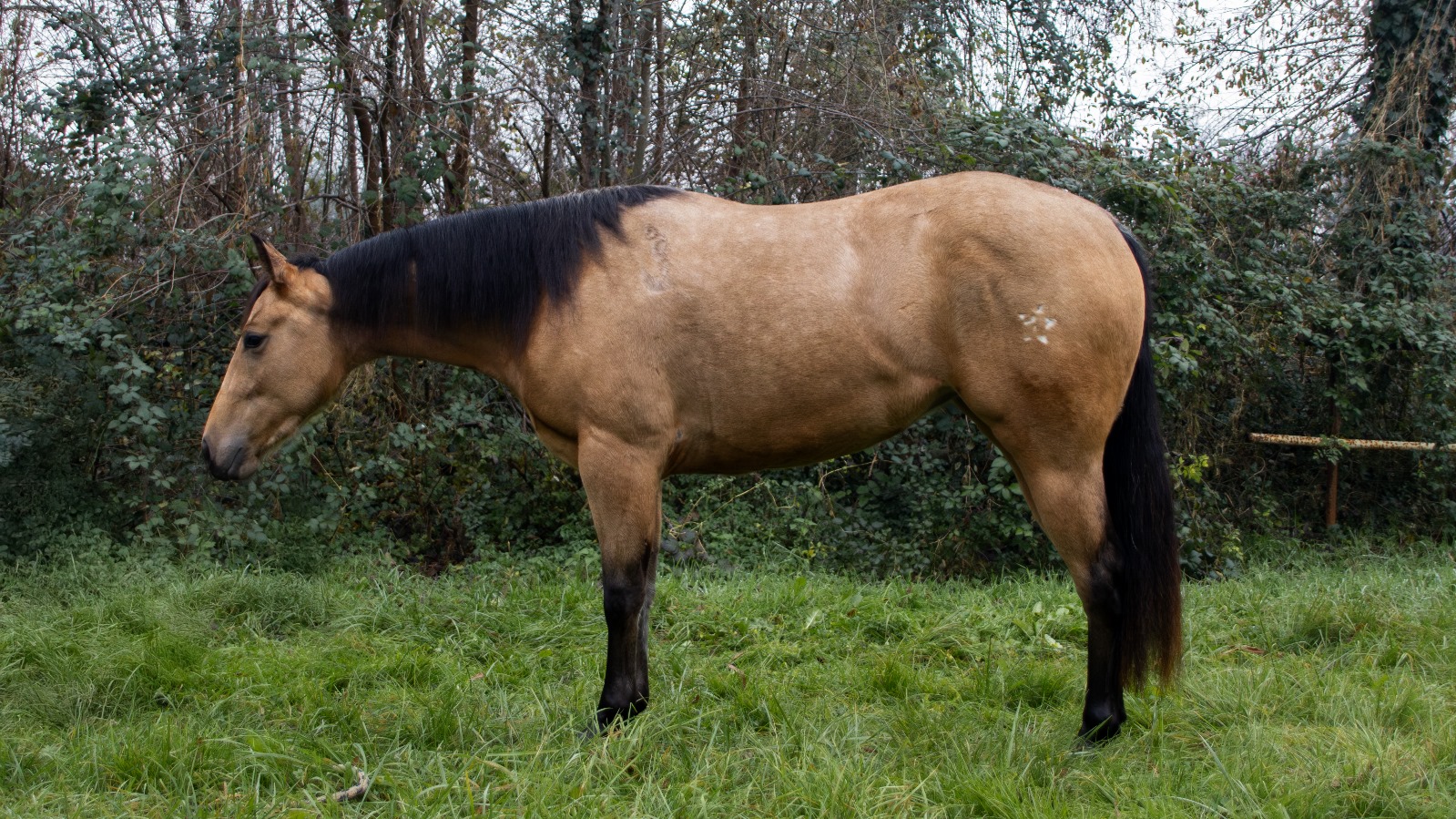 830933cc B2fd 4590 Acd6 112dd5e483d1