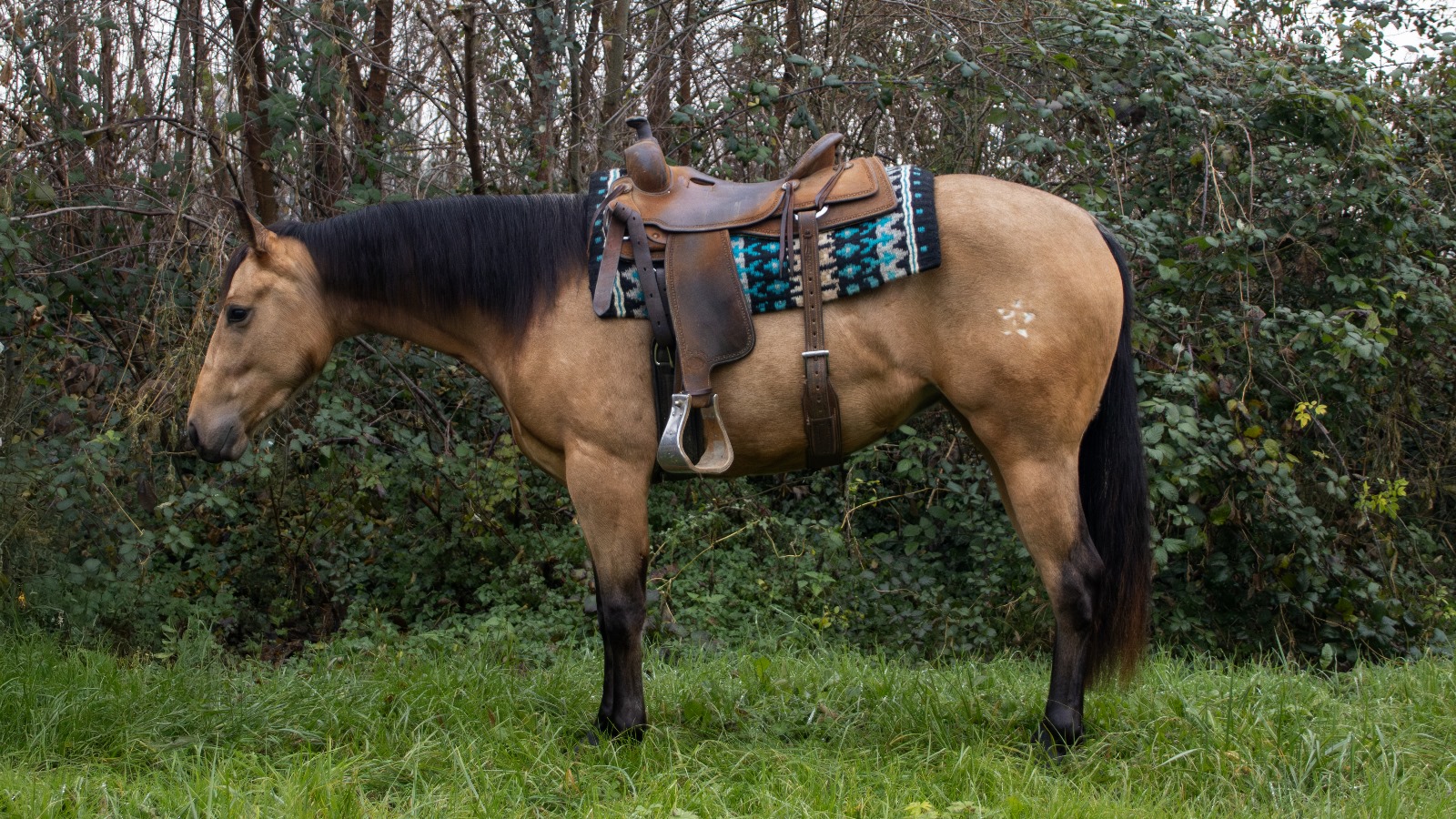 Daf7321f F3c6 498e A4d4 8174e1fae8ed